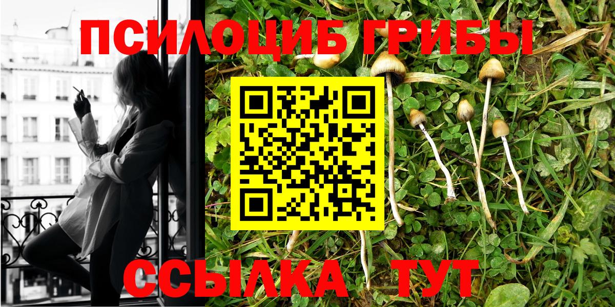 Галлюциногенные грибы Cubensis Владикавказ